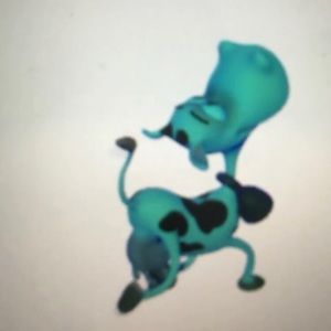 Meet your Posher, Isadora